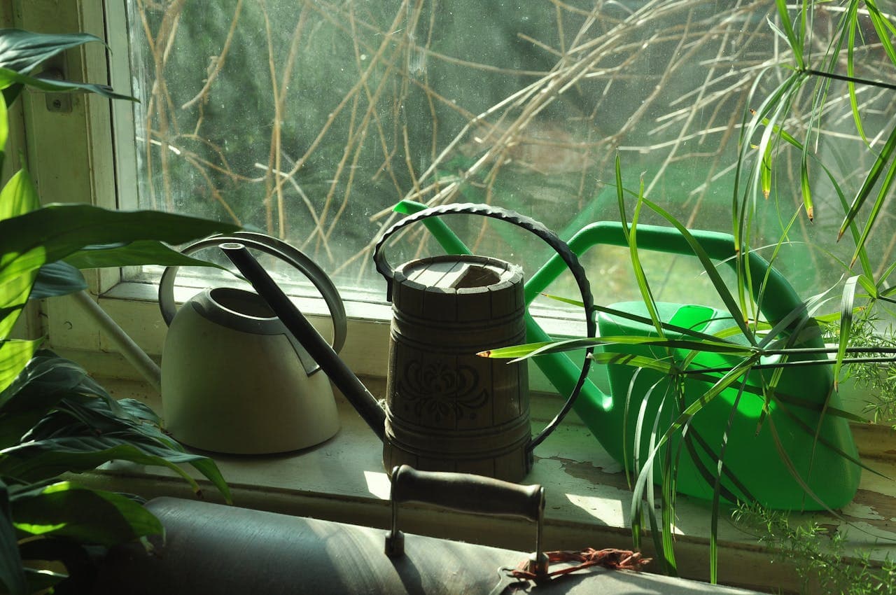 Three watering cans lined up in a garden