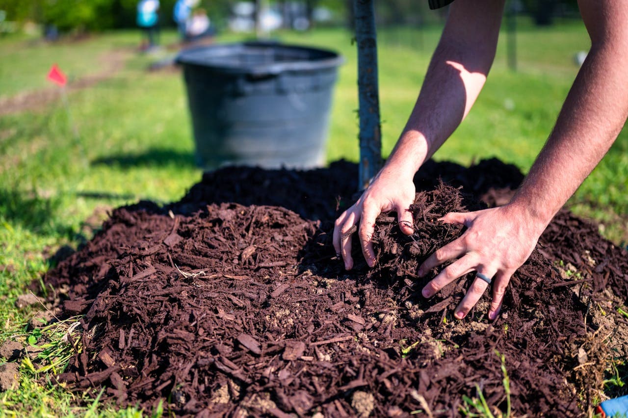 Mulched garden bed