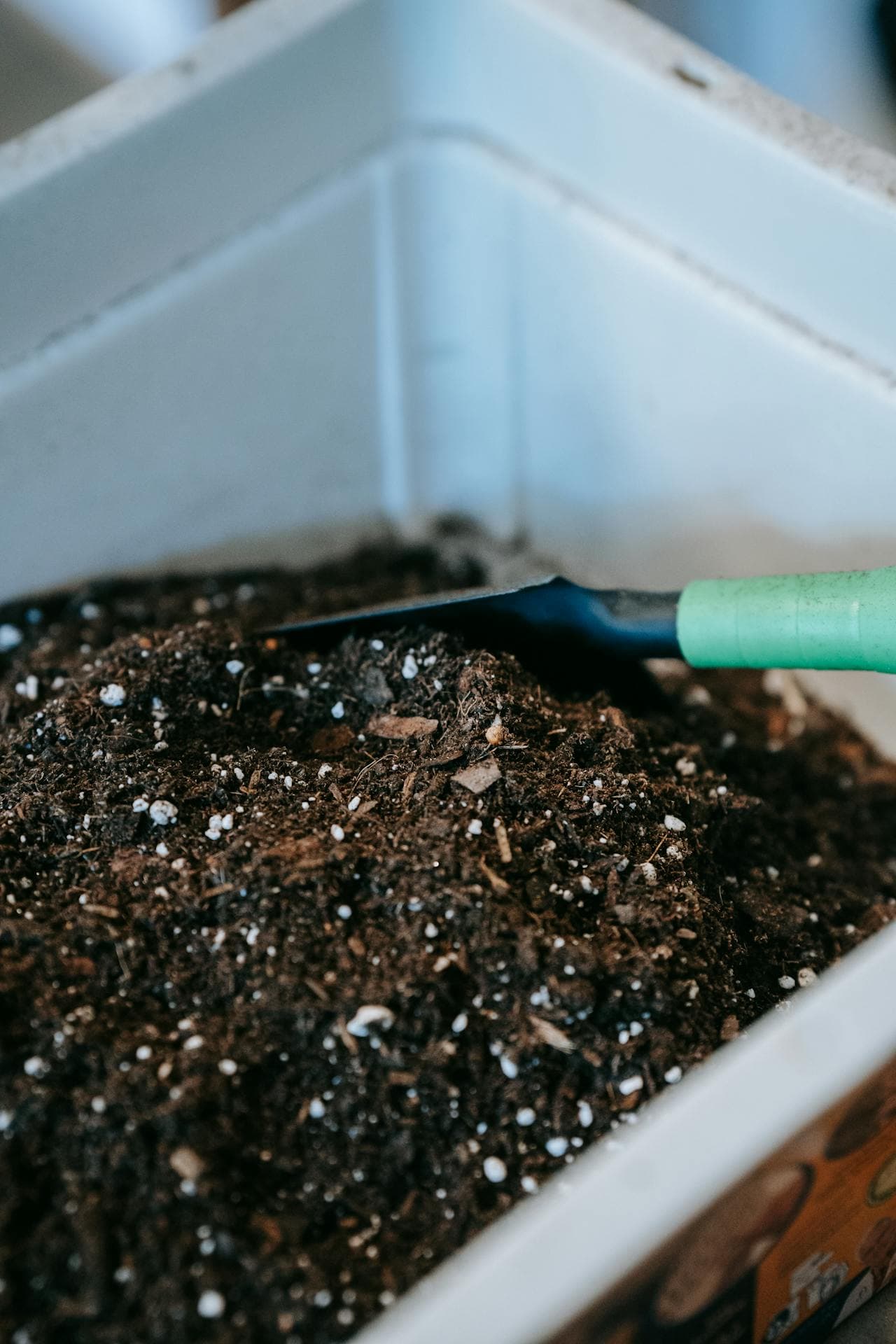 Hands in dark garden soil