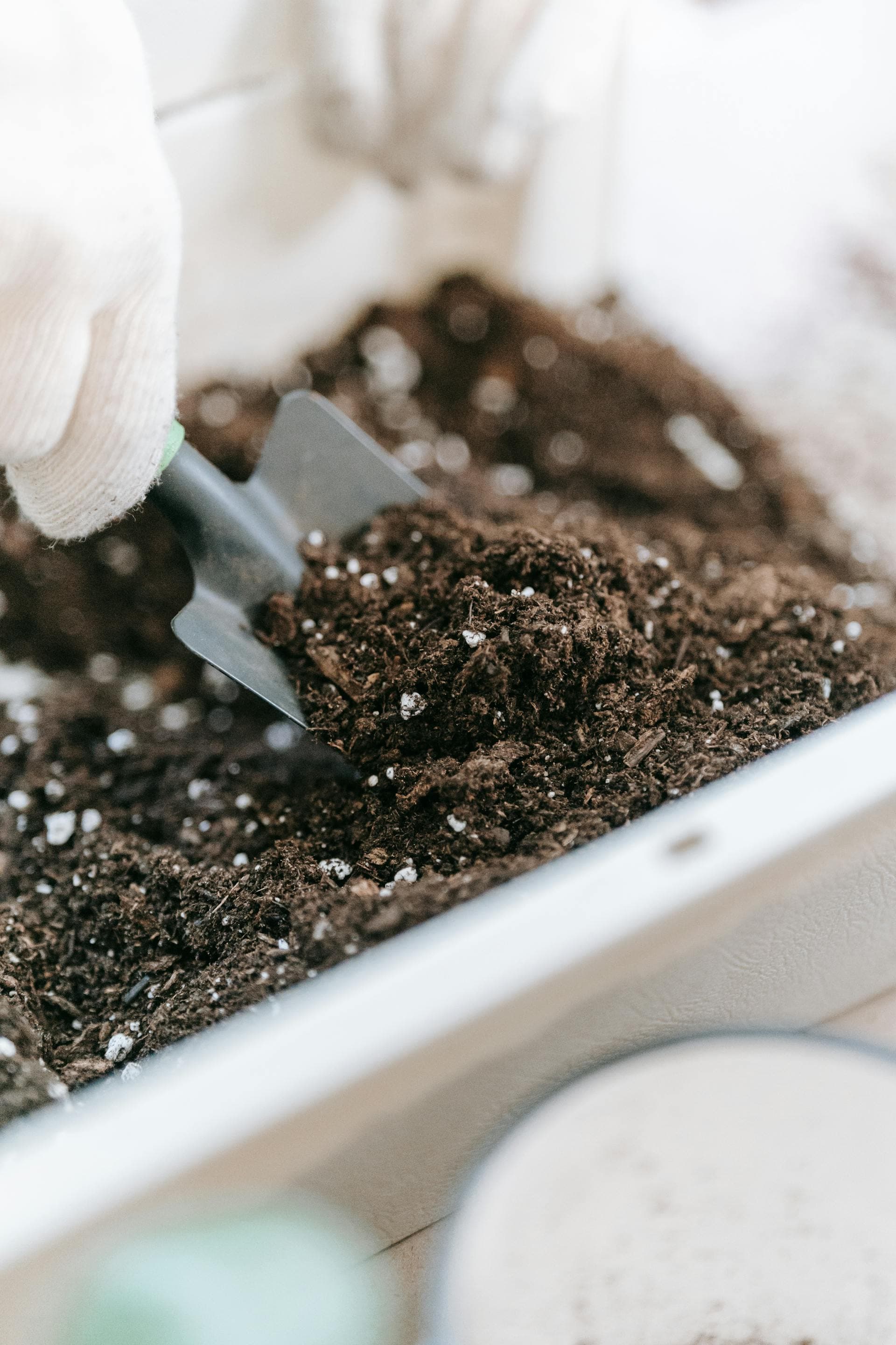 Gloved hand and trowel in dark soil