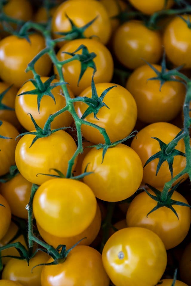 Tomato — additional view